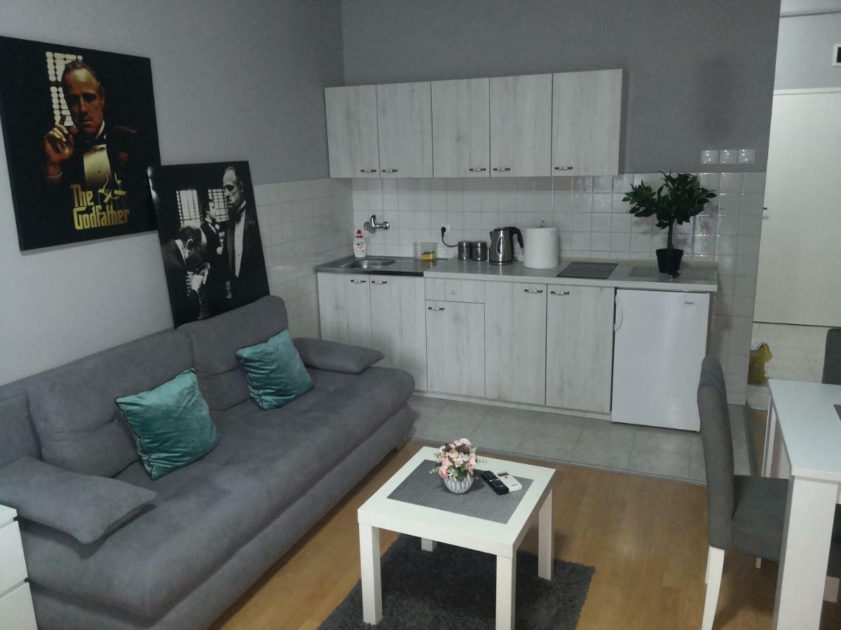 Contemporary Residence Nis Bagian luar foto